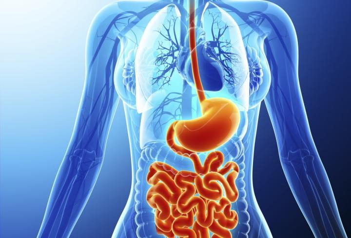 Gastroenterology